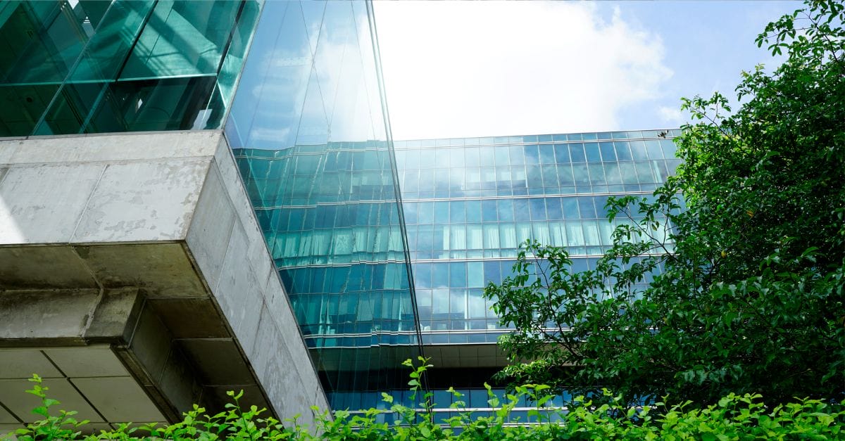Glass office buildings, biew from outside. Leafy green trees reflecting on the glass through sunglight beams.