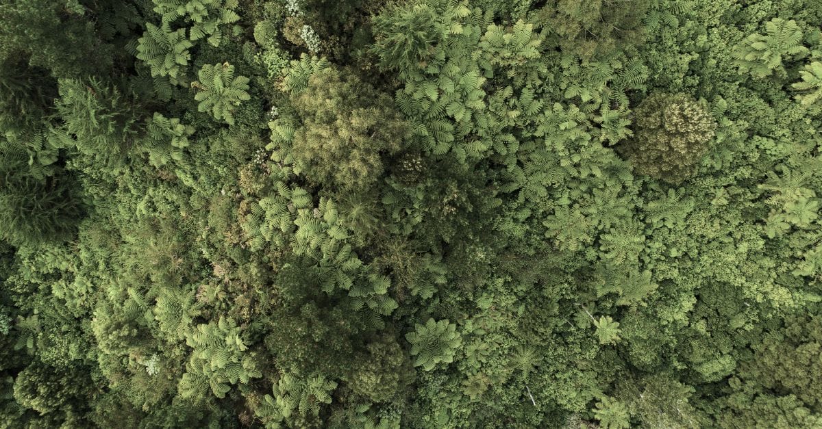 Discover European Pension Fund Investment Trends: NeoXam's Yann Bloch explores ESG challenges and opportunities in pension funds.