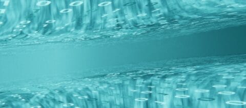 Data Stewardship and Administration pictures